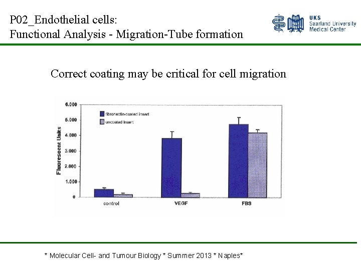 P 02_Endothelial cells: Functional Analysis - Migration-Tube formation Correct coating may be critical for