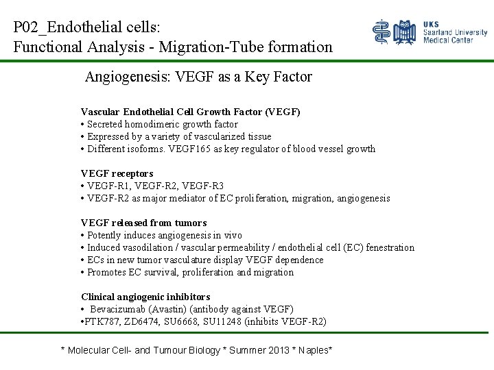 P 02_Endothelial cells: Functional Analysis - Migration-Tube formation Angiogenesis: VEGF as a Key Factor