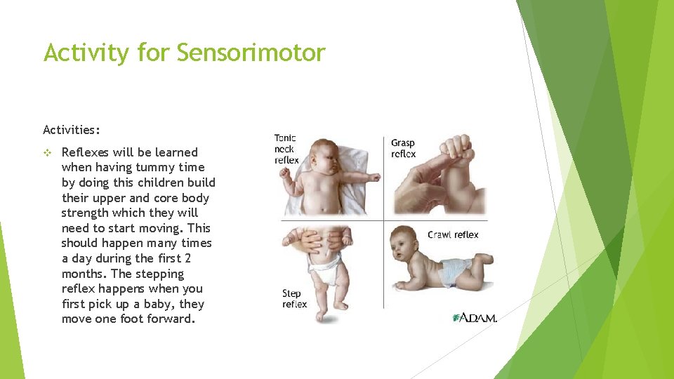 Activity for Sensorimotor Activities: v Reflexes will be learned when having tummy time by