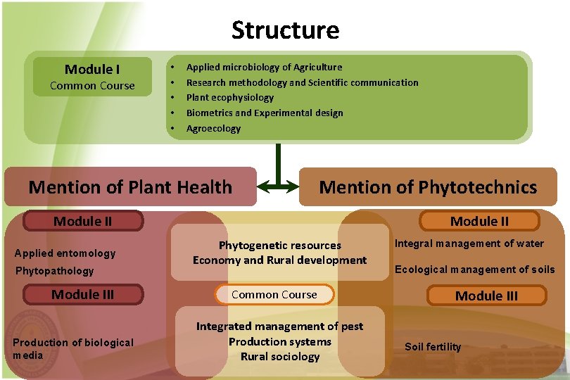 Structure Module I Common Course • • • Applied microbiology of Agriculture Research methodology