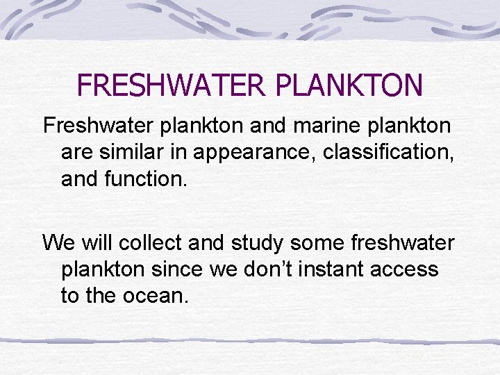 FRESHWATER PLANKTON Freshwater plankton and marine plankton are similar in appearance, classification, and function.