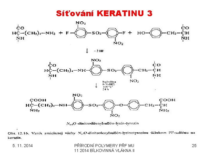 Síťování KERATINU 3 5. 11. 2014 PŘÍRODNÍ POLYMERY PŘF MU 11 2014 BÍLKOVINNÁ VLÁKNA