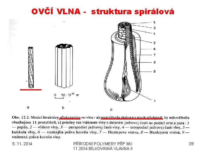 OVČÍ VLNA - struktura spirálová 5. 11. 2014 PŘÍRODNÍ POLYMERY PŘF MU 11 2014