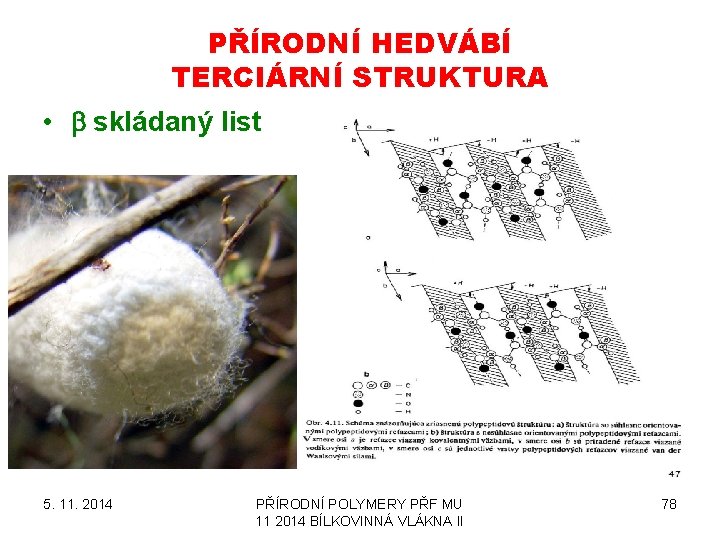 PŘÍRODNÍ HEDVÁBÍ TERCIÁRNÍ STRUKTURA • b skládaný list 5. 11. 2014 PŘÍRODNÍ POLYMERY PŘF