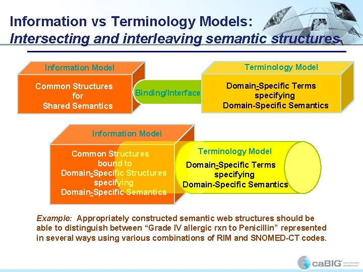 Information vs Terminology Models: Intersecting and interleaving semantic structures Terminology Model Information Model Common