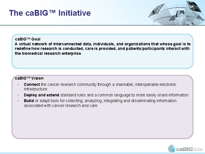 The ca. BIG™ Initiative ca. BIG™ Goal A virtual network of interconnected data, individuals,