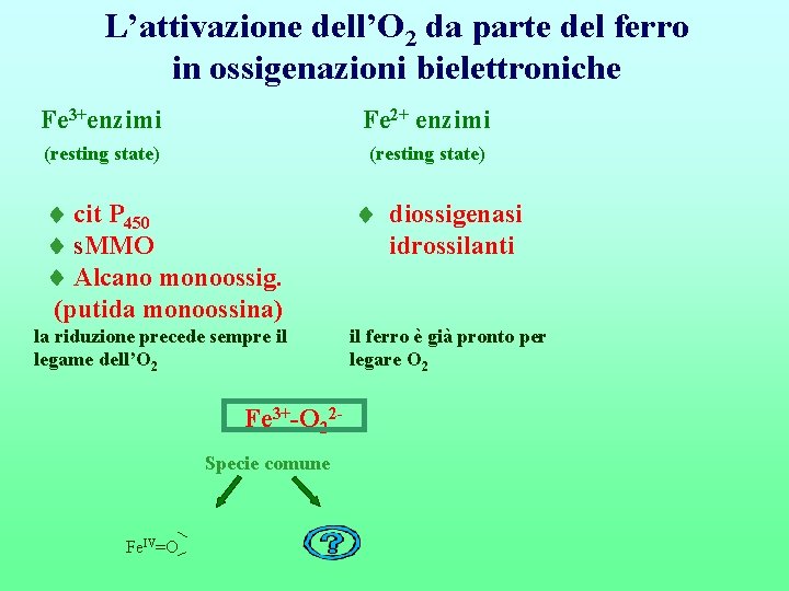 L’attivazione dell’O 2 da parte del ferro in ossigenazioni bielettroniche Fe 3+enzimi Fe 2+