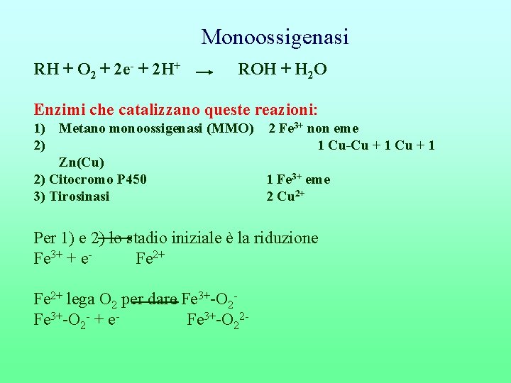 Monoossigenasi RH + O 2 + 2 e- + 2 H+ ROH + H