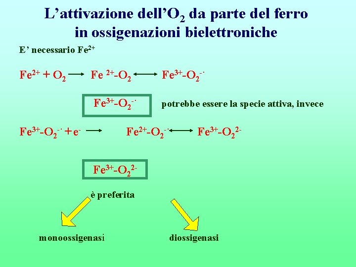 L’attivazione dell’O 2 da parte del ferro in ossigenazioni bielettroniche E’ necessario Fe 2+