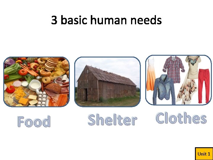 3 basic human needs Food Shelter Clothes Unit 1 