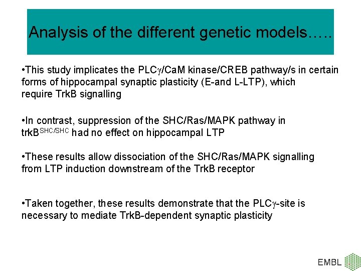 Analysis of the different genetic models…. . • This study implicates the PLC /Ca.