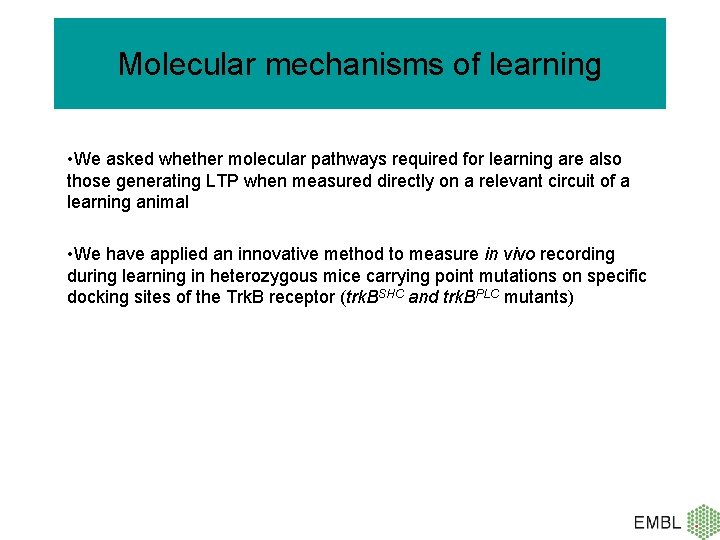 Molecular mechanisms of learning • We asked whether molecular pathways required for learning are