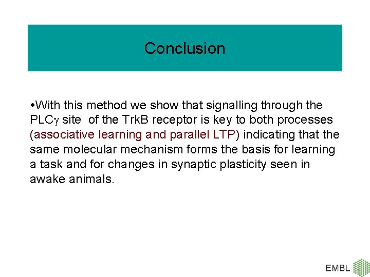 Conclusion With this method we show that signalling through the PLC site of the