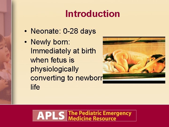 Introduction • Neonate: 0 -28 days • Newly born: Immediately at birth when fetus