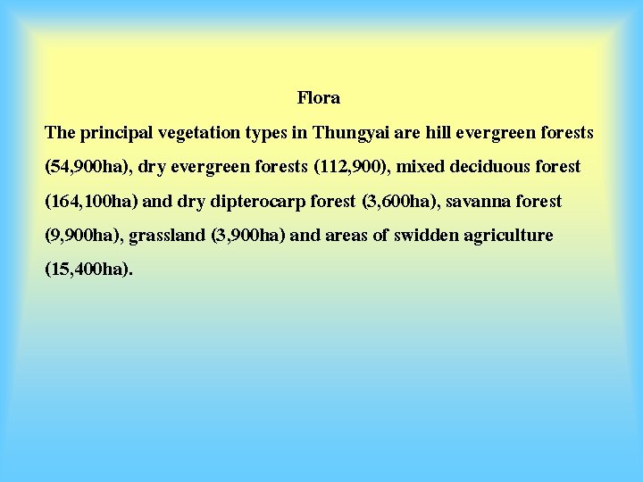 Flora The principal vegetation types in Thungyai are hill evergreen forests (54, 900 ha),