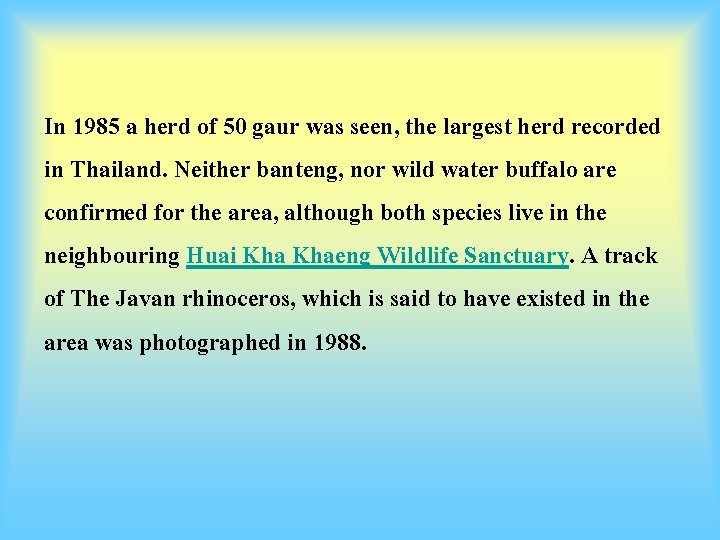 In 1985 a herd of 50 gaur was seen, the largest herd recorded in