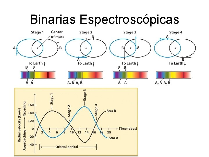 Binarias Espectroscópicas 