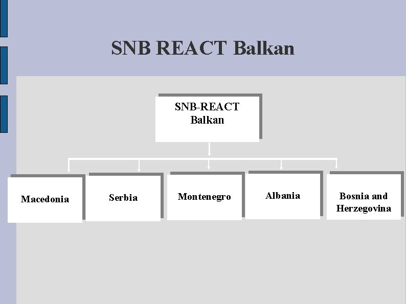 SNB REACT Balkan SNB-REACT Balkan Macedonia Serbia Montenegro Albania Bosnia and Herzegovina 