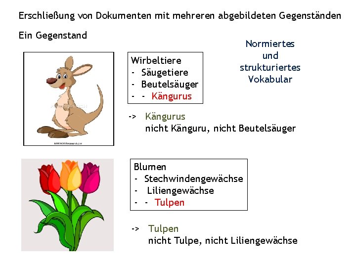 Erschließung von Dokumenten mit mehreren abgebildeten Gegenständen Ein Gegenstand Wirbeltiere - Säugetiere - Beutelsäuger Erschließung von Dokumenten mit mehreren abgebildeten Gegenständen Ein Gegenstand Wirbeltiere - Säugetiere - Beutelsäuger