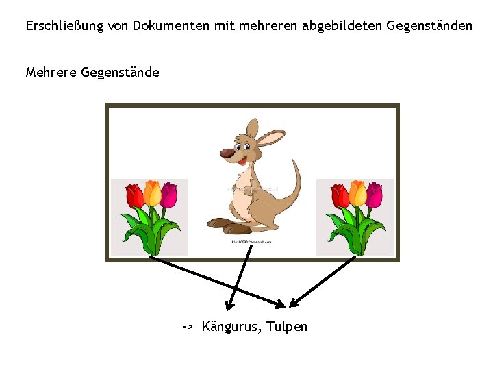 Erschließung von Dokumenten mit mehreren abgebildeten Gegenständen Mehrere Gegenstände -> Kängurus, Tulpen Erschließung von Dokumenten mit mehreren abgebildeten Gegenständen Mehrere Gegenstände -> Kängurus, Tulpen