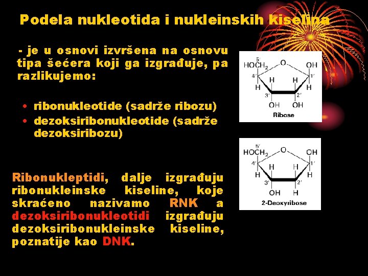 Podela nukleotida i nukleinskih kiselina - je u osnovi izvršena na osnovu tipa šećera