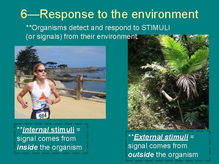 6—Response to the environment **Organisms detect and respond to STIMULI (or signals) from their