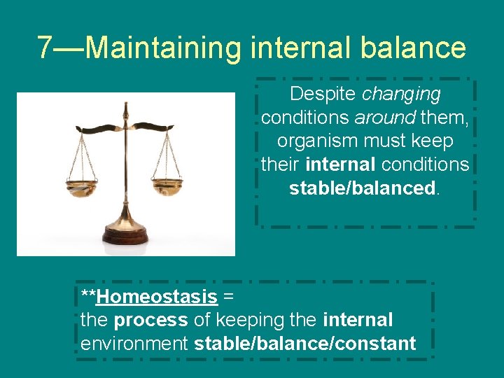 7—Maintaining internal balance Despite changing conditions around them, organism must keep their internal conditions
