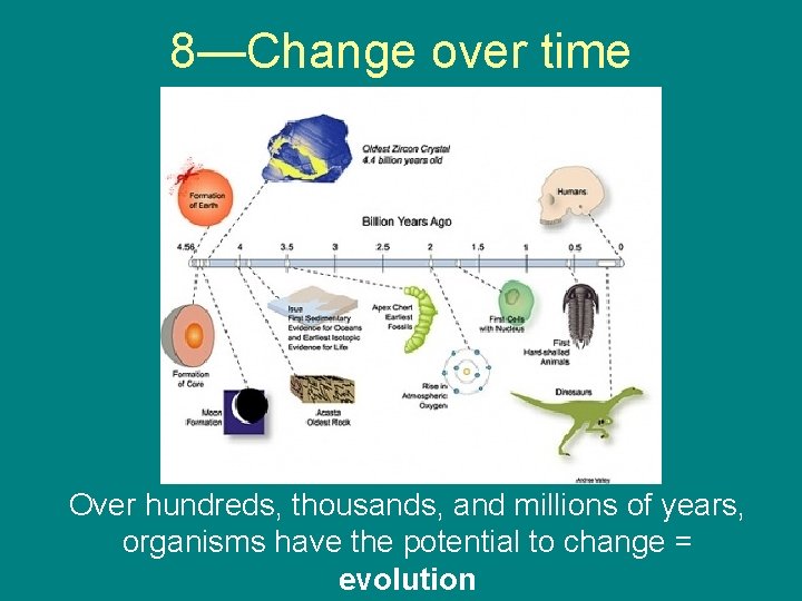 8—Change over time Over hundreds, thousands, and millions of years, organisms have the potential