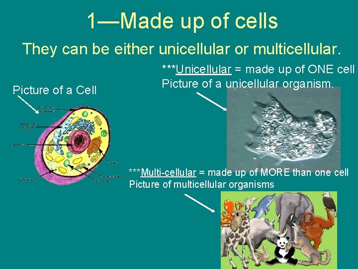 Characteristics of Life Chapter 1 Section 3 Biology
