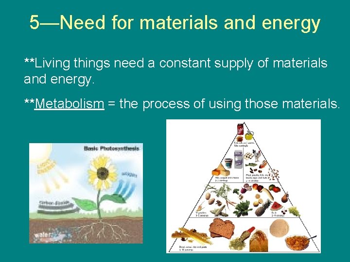 5—Need for materials and energy **Living things need a constant supply of materials and