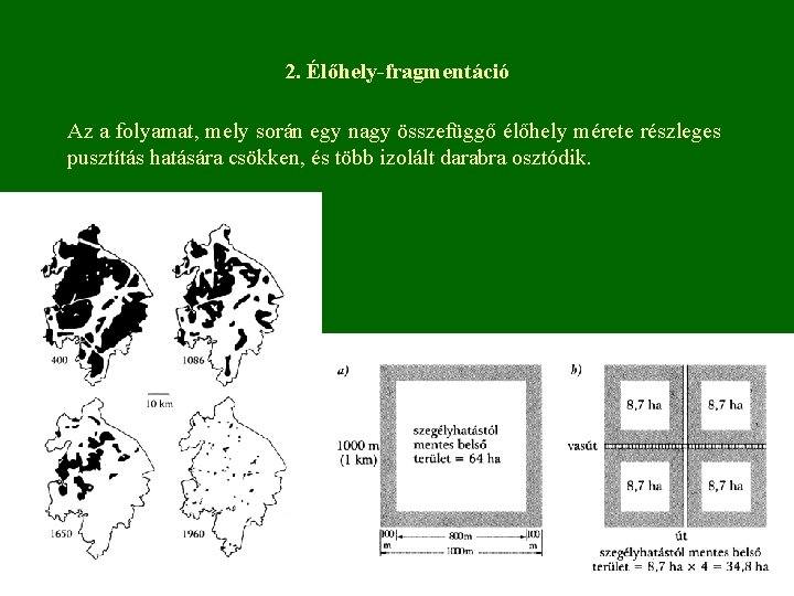 2. Élőhely-fragmentáció Az a folyamat, mely során egy nagy összefüggő élőhely mérete részleges pusztítás