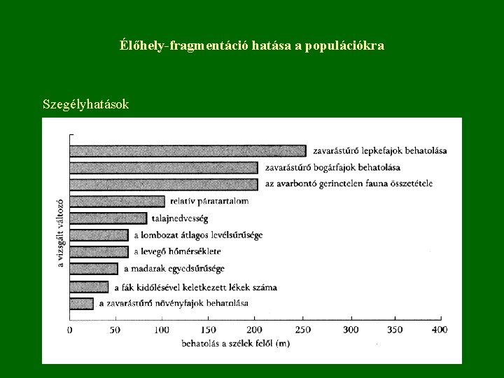 Élőhely-fragmentáció hatása a populációkra Szegélyhatások 