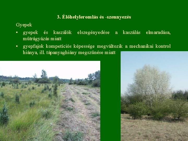 3. Élőhelyleromlás és -szennyezés Gyepek • gyepek és kaszálók elszegényedése a kaszálás elmaradása, műtrágyázás