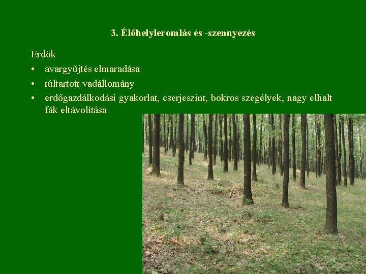 3. Élőhelyleromlás és -szennyezés Erdők • avargyűjtés elmaradása • túltartott vadállomány • erdőgazdálkodási gyakorlat,