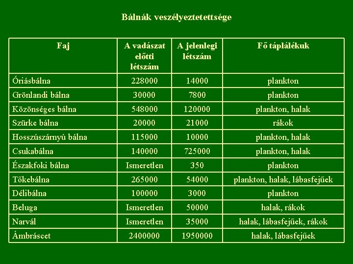 Bálnák veszélyeztetettsége Faj A vadászat előtti létszám A jelenlegi létszám Fő táplálékuk Óriásbálna 228000