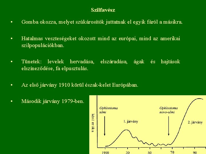 Szilfavész • Gomba okozza, melyet szúkárosítók juttatnak el egyik fáról a másikra. • Hatalmas