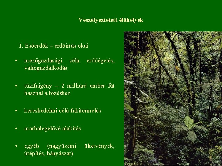 Veszélyeztetett élőhelyek 1. Esőerdők – erdőirtás okai • mezőgazdasági célú erdőégetés, váltógazdálkodás • tűzifaigény