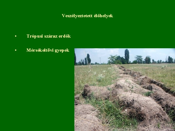 Veszélyeztetett élőhelyek • Trópusi száraz erdők • Mérsékeltövi gyepek 