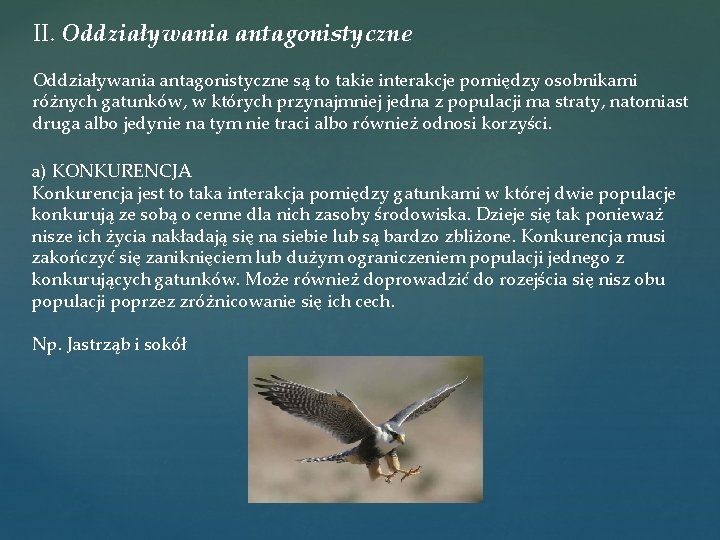 II. Oddziaływania antagonistyczne są to takie interakcje pomiędzy osobnikami różnych gatunków, w których przynajmniej