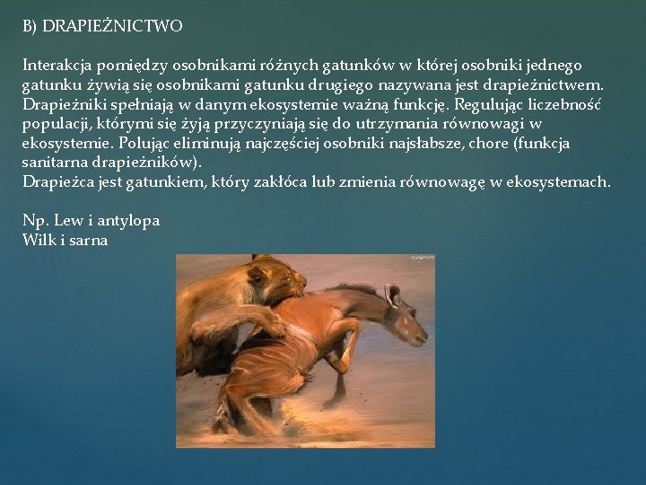B) DRAPIEŻNICTWO Interakcja pomiędzy osobnikami różnych gatunków w której osobniki jednego gatunku żywią się