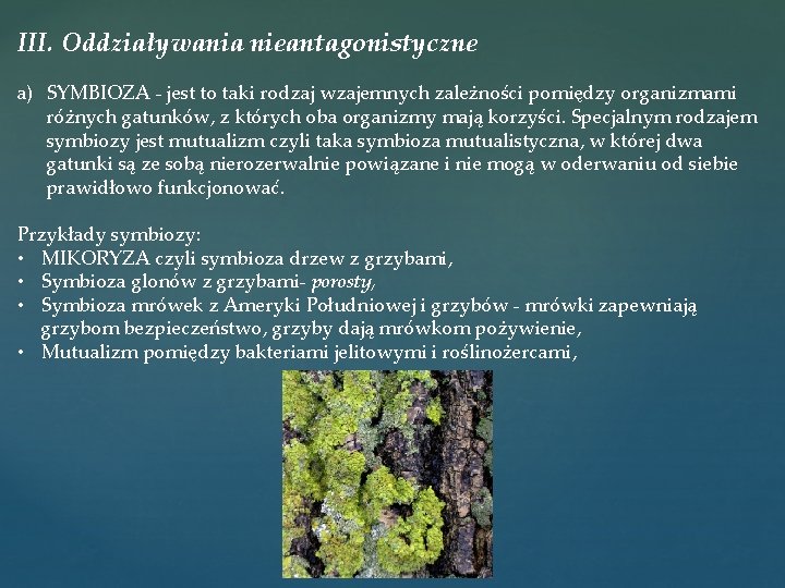 III. Oddziaływania nieantagonistyczne a) SYMBIOZA - jest to taki rodzaj wzajemnych zależności pomiędzy organizmami