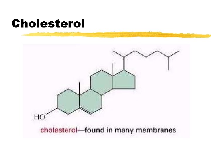 Cholesterol 