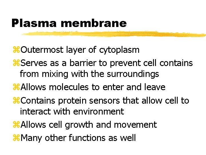 Plasma membrane z. Outermost layer of cytoplasm z. Serves as a barrier to prevent