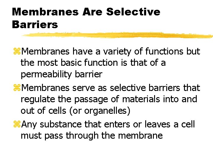 Membranes Are Selective Barriers z. Membranes have a variety of functions but the most Membranes Are Selective Barriers z. Membranes have a variety of functions but the most