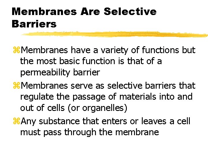 Membranes Are Selective Barriers z. Membranes have a variety of functions but the most