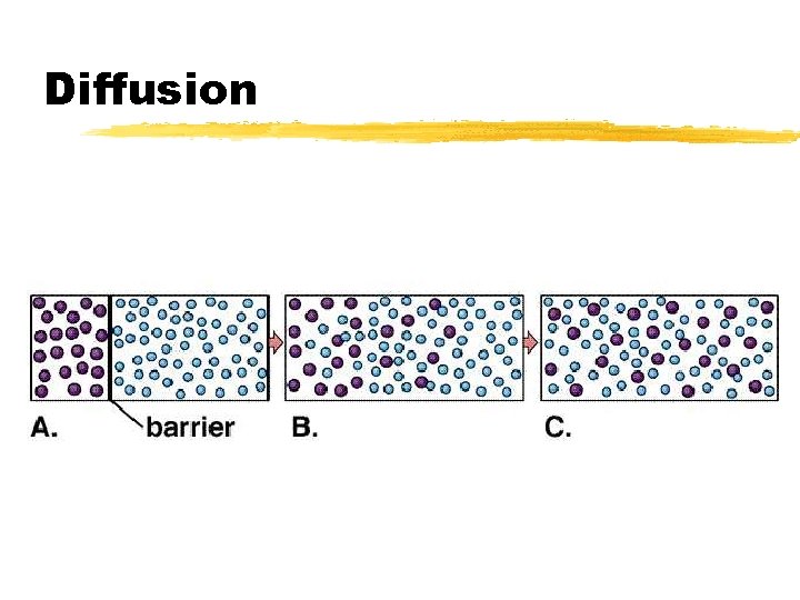 Diffusion 