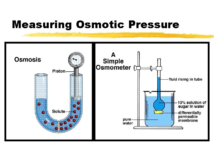 Measuring Osmotic Pressure Measuring Osmotic Pressure