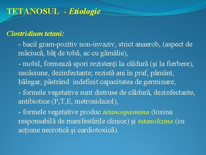 TETANOSUL - Etiologie Clostridium tetani: - bacil gram-pozitiv non-invaziv, strict anaerob, (aspect de măciucă,