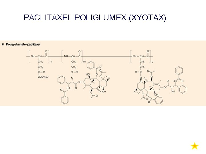 PACLITAXEL POLIGLUMEX (XYOTAX) 