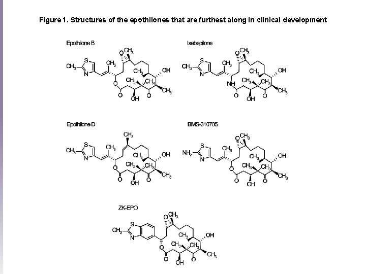 Figure 1. Structures of the epothilones that are furthest along in clinical development 